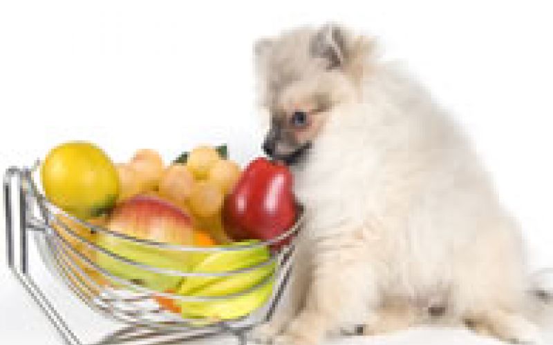 Hranjenje i hranjivost