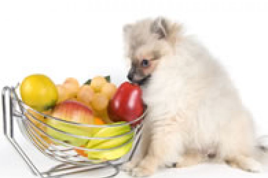 Hranjenje i hranjivost