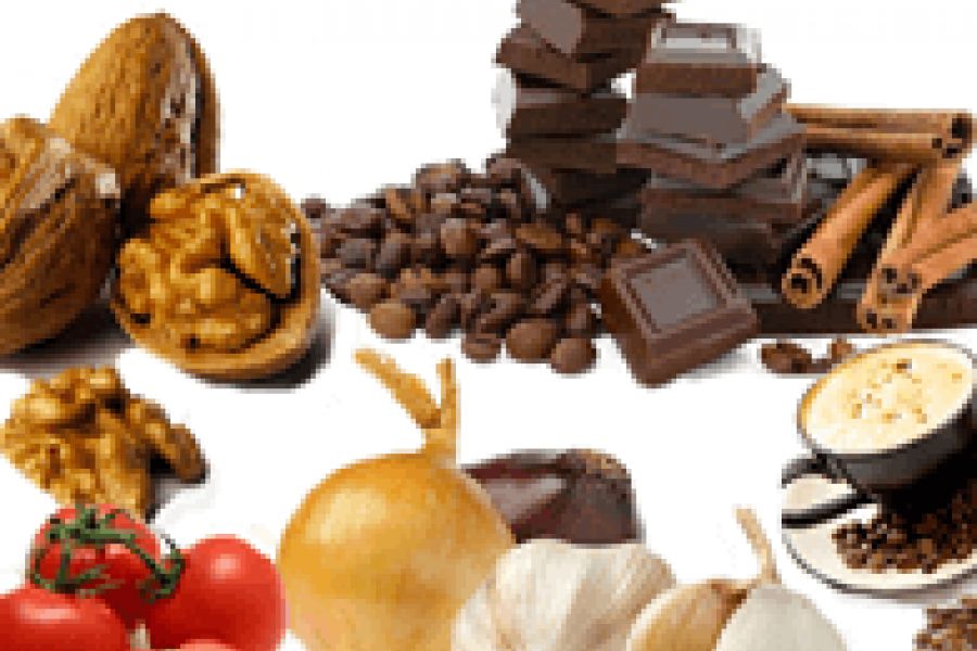 Ljudska hrana u prehrani ljubimaca