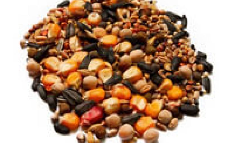 Osnovni sastojci hrane