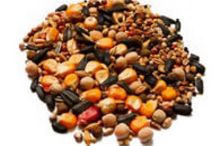 Osnovni sastojci hrane