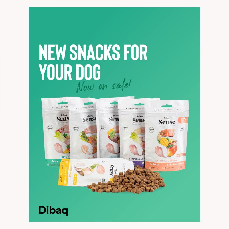 Dibaq Sense Snack Immunity Patka 100g Cijena Akcija